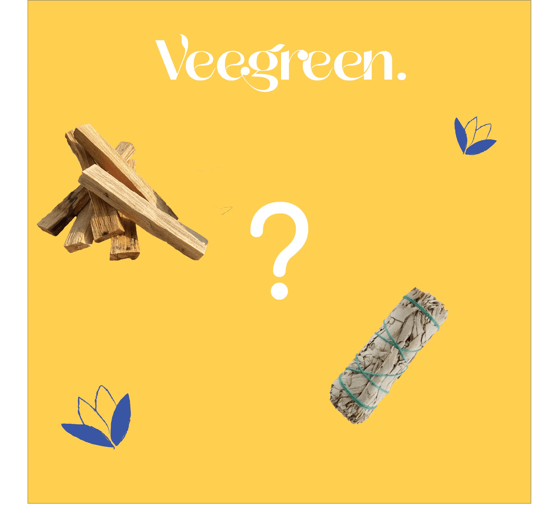 La-Sauge-Blanche-et-le-Palo-Santo-qu-est-ce-que-c-est Veegreen