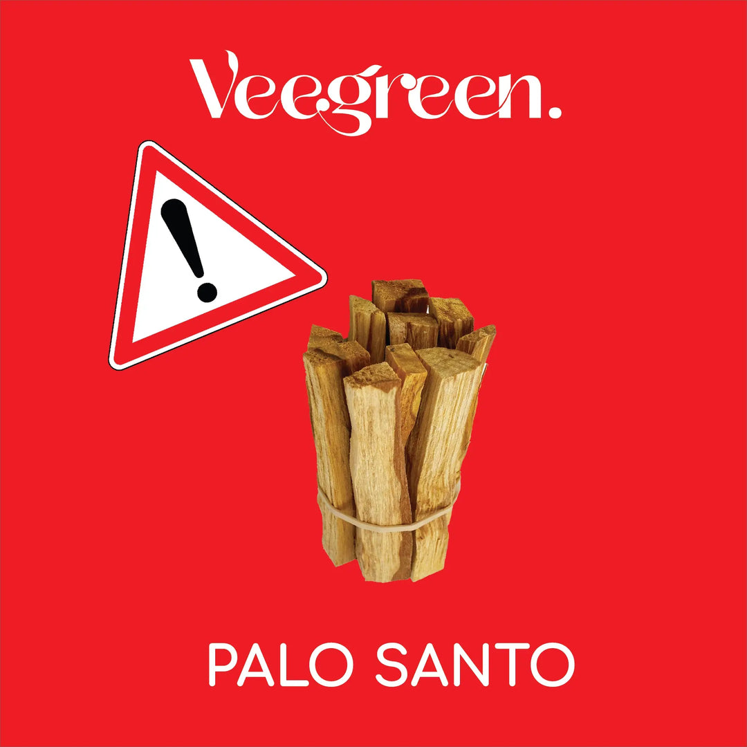 Le-Palo-Santo-en-danger Veegreen