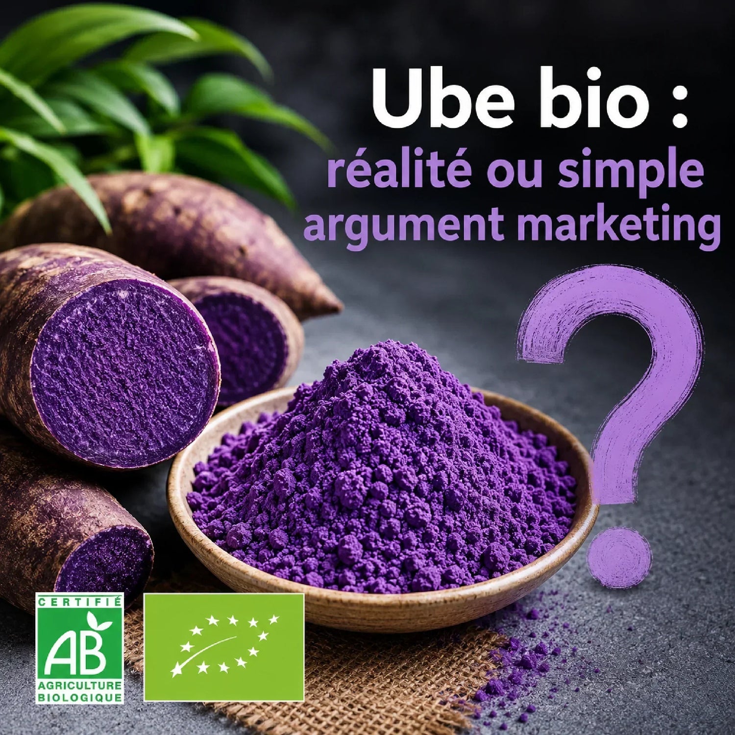 Ube bio : réalité ou simple argument marketing ?
