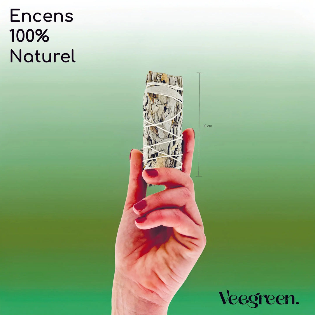 Bâtonnets de Sauges Blanches Veegreen