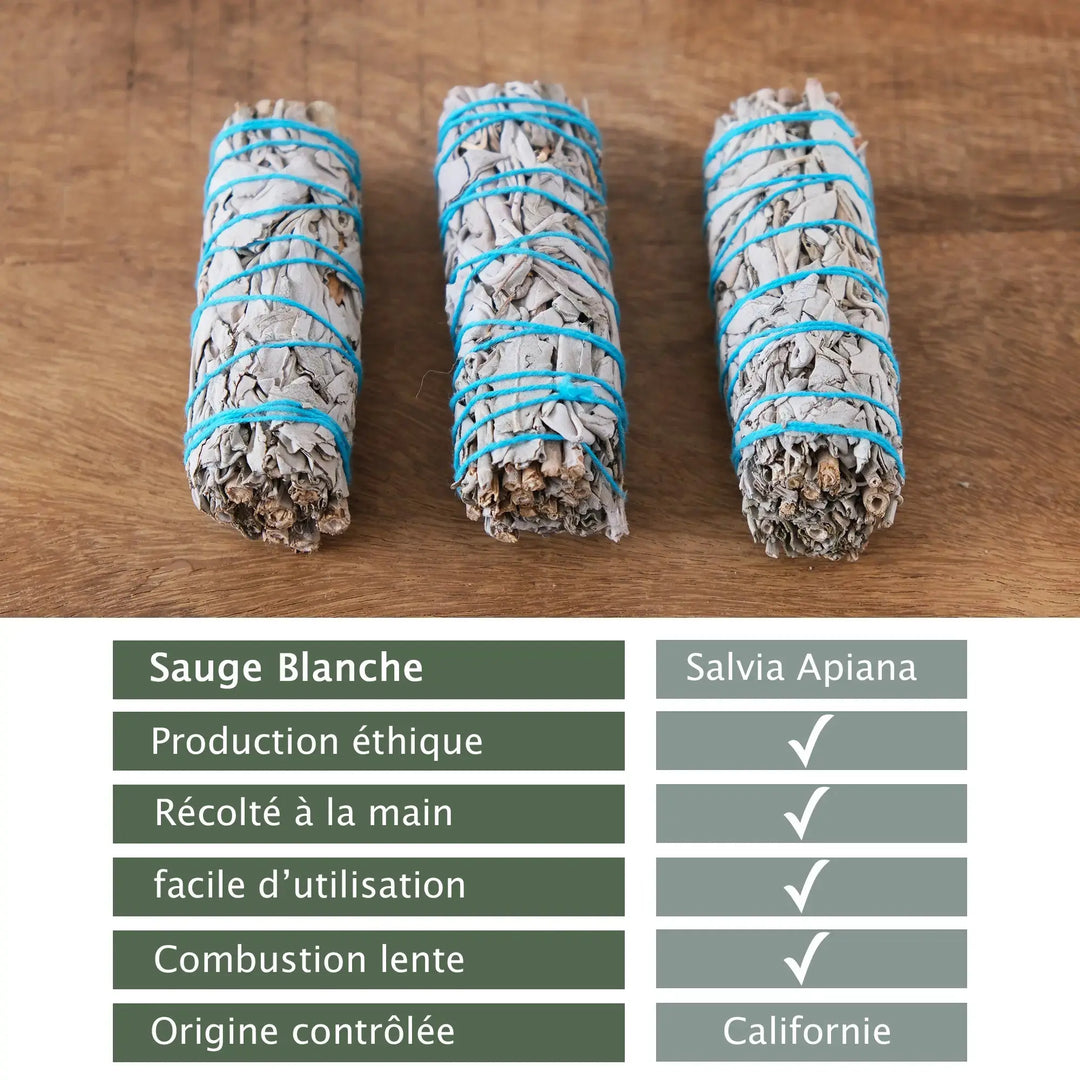 Bâtonnets de Sauges Blanches Veegreen