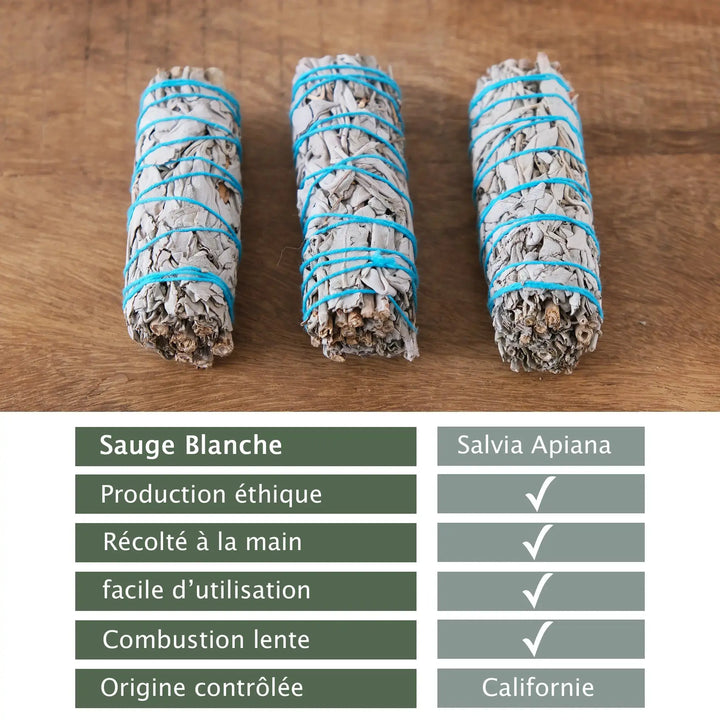 Bâtonnets de Sauges Blanches Veegreen
