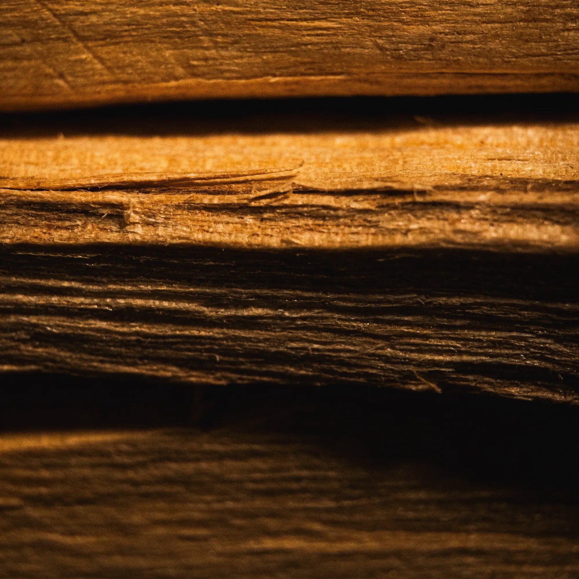 Palo Santo Masse