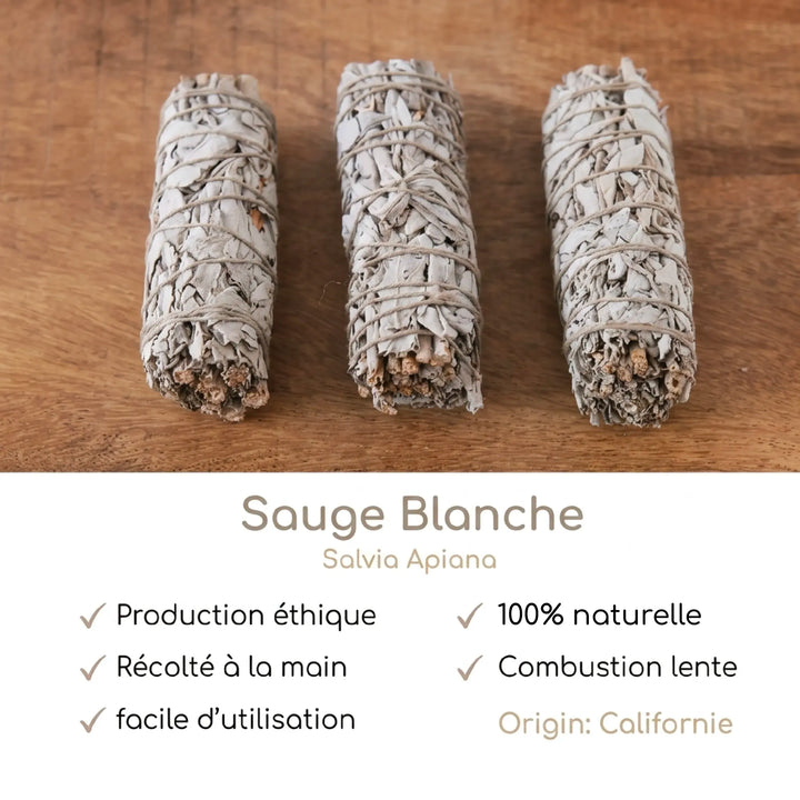 Weiße Salbeireinigungsbox