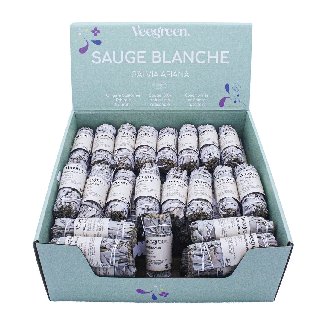 Sauge Blanche Prêt à vendre x60 pcs Veegreen