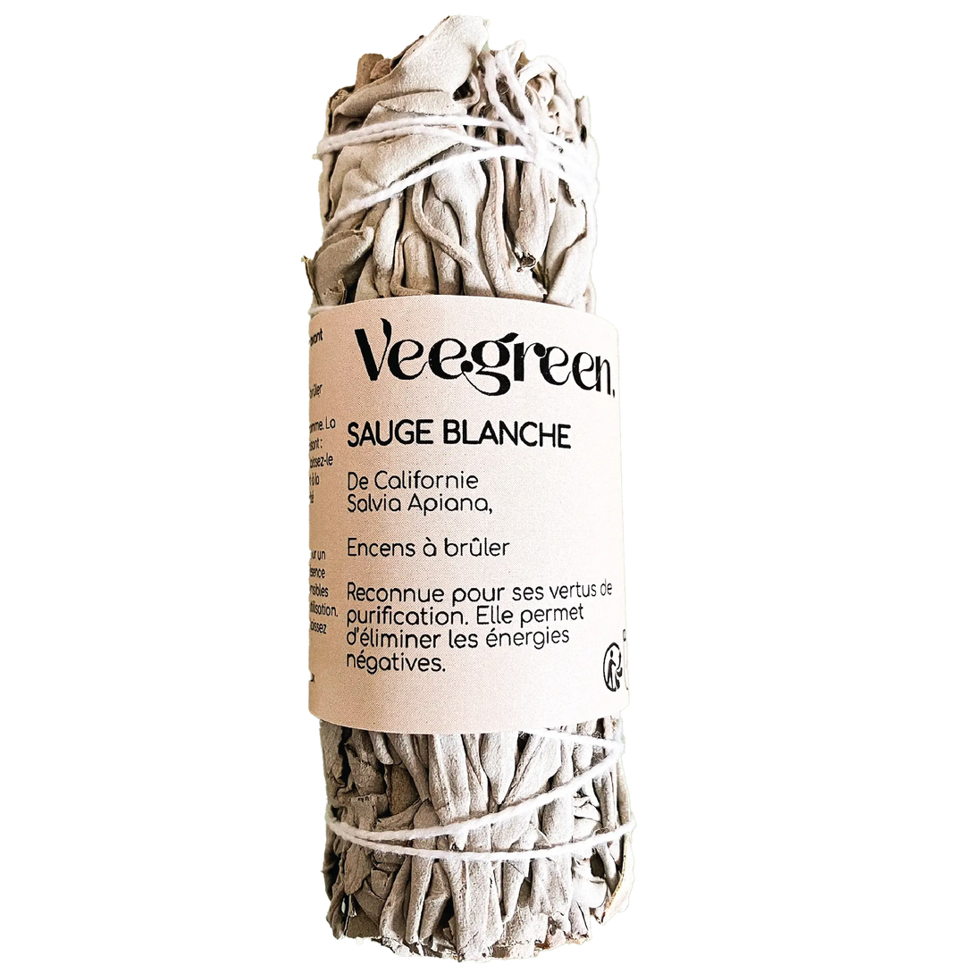 Sauge Blanche Prêt à vendre x60 pcs Veegreen