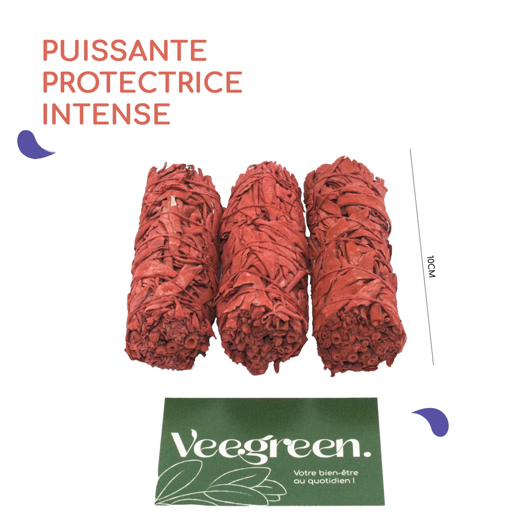 Sauge Sang de Dragon x3 Veegreen