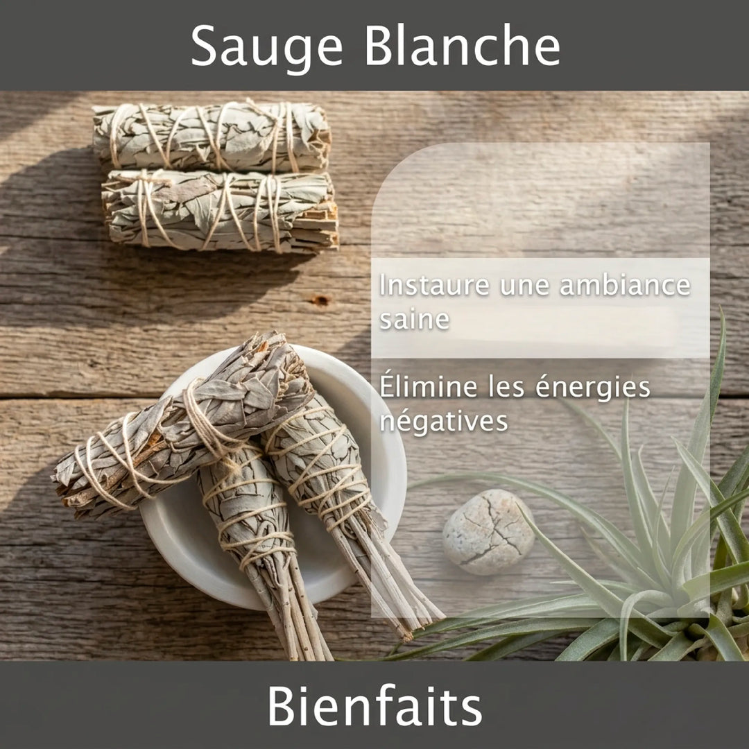 Weiße Salbeireinigungsbox